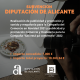 SUBVENCIÓN DIPUTACIÓN DE ALICANTE (1).png